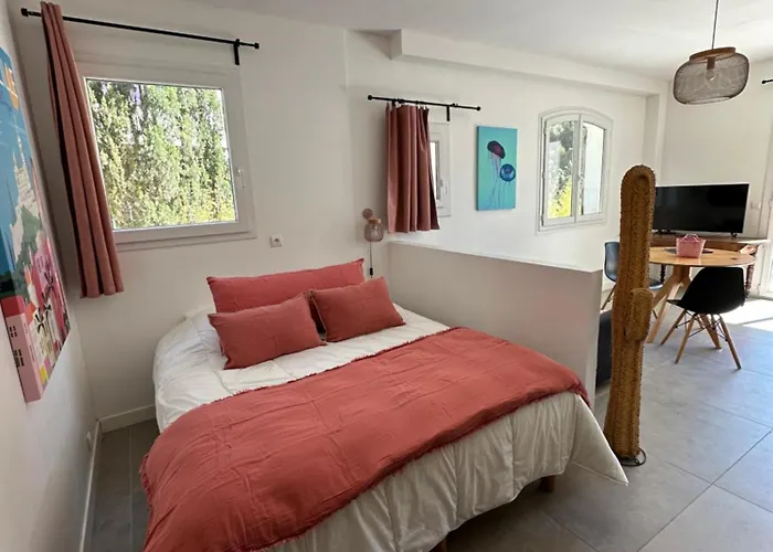 Apartment - Maison Julou - Piscine Chauffee A 32c